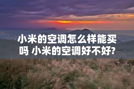 小米的空调怎么样能买吗 小米的空调好不好? 小米的空调怎么样能买吗 小米的空调好不好?