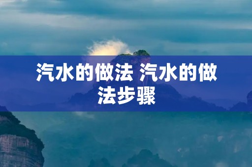 汽水的做法 汽水的做法步骤