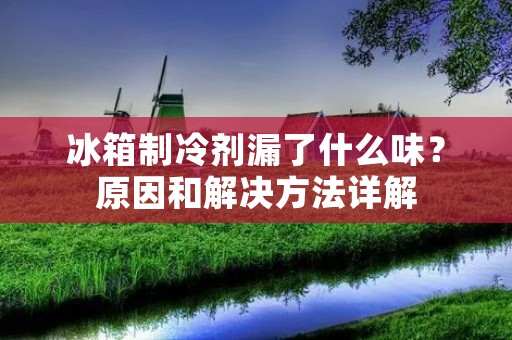 冰箱制冷剂漏了什么味？原因和解决方法详解