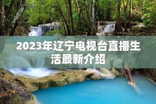 2023年辽宁电视台直播生活最新介绍