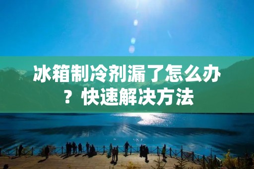 冰箱制冷剂漏了怎么办？快速解决方法