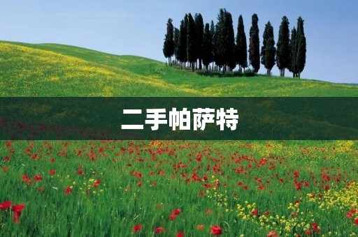 二手帕萨特:品质与性价比的完美结合 二手帕萨特:品质与性价比的完美结合
