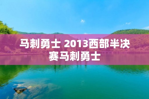 马刺勇士 2013西部半决赛马刺勇士