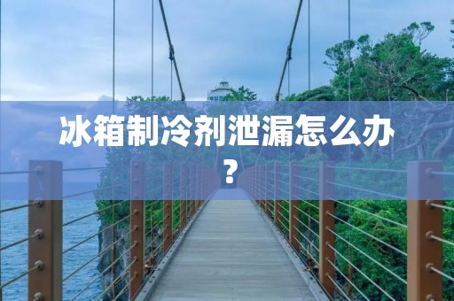 冰箱制冷剂泄漏怎么办？