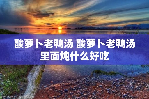 酸萝卜老鸭汤 酸萝卜老鸭汤里面炖什么好吃 酸萝卜老鸭汤 酸萝卜老鸭汤里面炖什么好吃