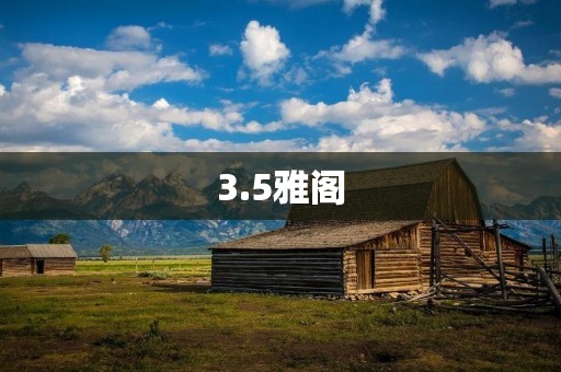 3.5雅阁:豪华与性能的完美结合 3.5雅阁:豪华与性能的完美结合