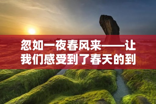 忽如一夜春风来——让我们感受到了春天的到来
