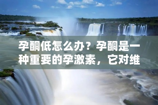 孕酮低怎么办？孕酮是一种重要的孕激素，它对维持妊娠的稳定和正常发育至关重要。如果孕酮水平过低，可能会导致流产和其他妊娠并发症。那么，当孕酮水平低的时候，我们应该怎么办呢？本文将为您详细介绍。