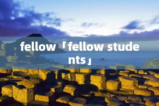fellow「fellow students」 fellow「fellow students」