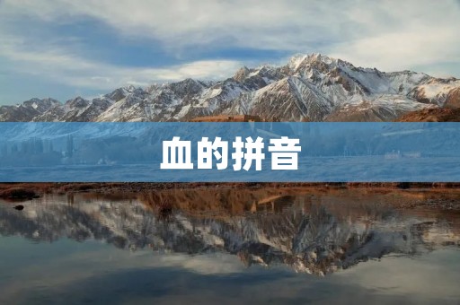 血的拼音：让我们深入探究血液的奥秘
