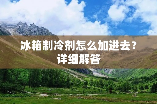 冰箱制冷剂怎么加进去?详细解答 冰箱制冷剂怎么加进去?详细解答