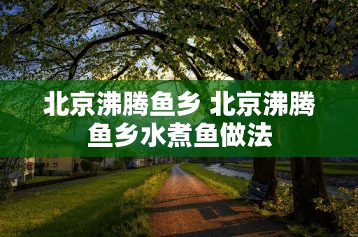 北京沸腾鱼乡 北京沸腾鱼乡水煮鱼做法