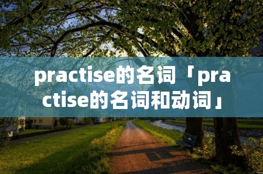 practise的名词「practise的名词和动词」