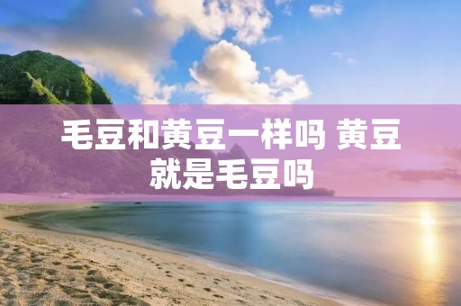 毛豆和黄豆一样吗 黄豆就是毛豆吗