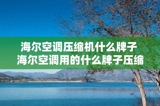 海尔空调压缩机什么牌子 海尔空调用的什么牌子压缩机