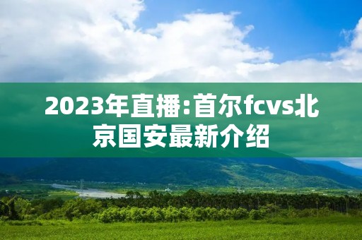 2023年直播:首尔fcvs北京国安最新介绍 2023年直播:首尔fcvs北京国安最新介绍