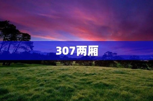 307两厢:时尚、经济、实用的选择 307两厢:时尚、经济、实用的选择