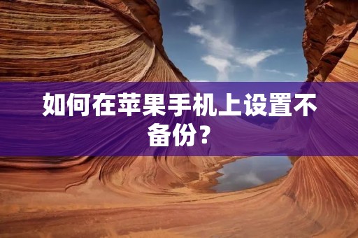 如何在苹果手机上设置不备份?