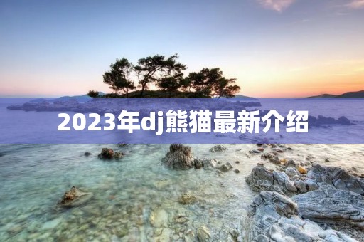 2023年dj熊猫最新介绍
