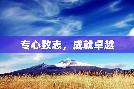 专心致志，成就卓越