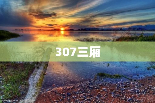 307三厢：时尚外观与实用性的完美结合