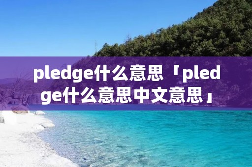 pledge什么意思「pledge什么意思中文意思」