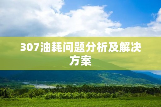 307油耗问题分析及解决方案
