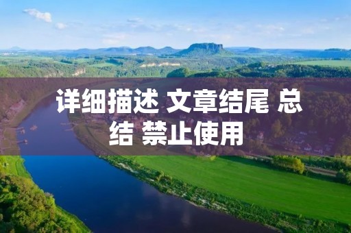 详细描述 文章结尾 总结 禁止使用