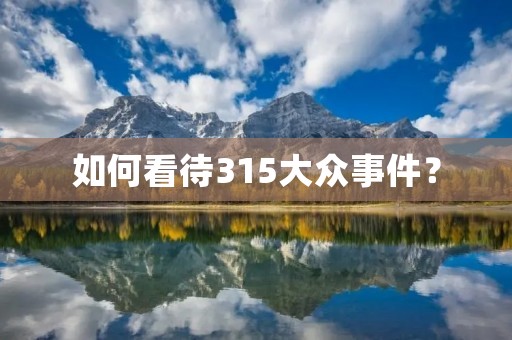 如何看待315大众事件？
