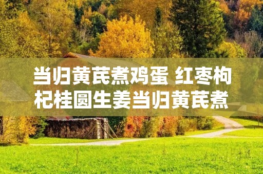 当归黄芪煮鸡蛋 红枣枸杞桂圆生姜当归黄芪煮鸡蛋