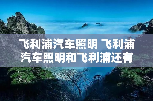 飞利浦汽车照明 飞利浦汽车照明和飞利浦还有关系吗? 飞利浦汽车照明 飞利浦汽车照明和飞利浦还有关系吗?