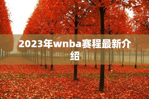 2023年wnba赛程最新介绍 2023年wnba赛程最新介绍