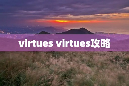 virtues virtues攻略