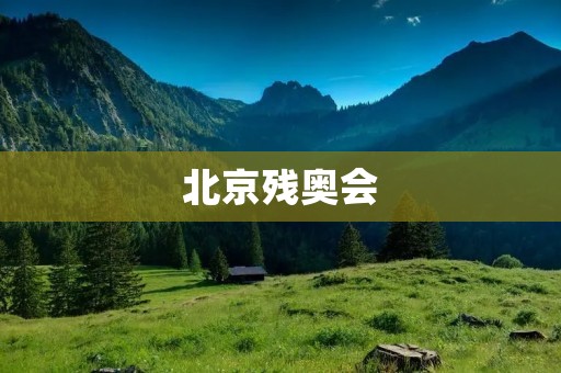 北京残奥会：让残疾人也能享受运动的盛宴