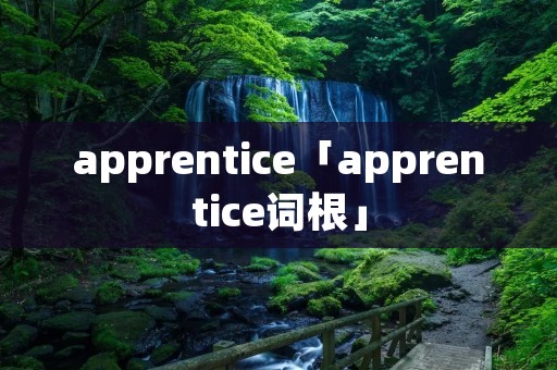 apprentice「apprentice词根」 apprentice「apprentice词根」