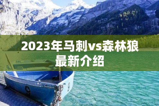 2023年马刺vs森林狼最新介绍