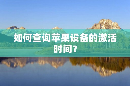 如何查询苹果设备的激活时间?