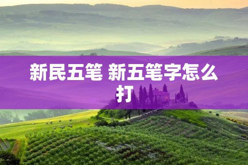 新民五笔 新五笔字怎么打
