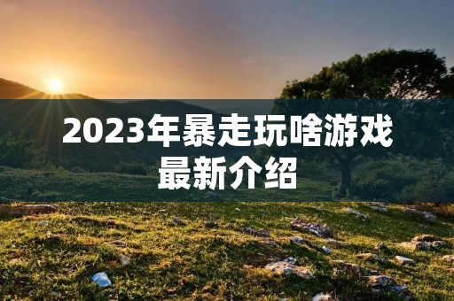 2023年暴走玩啥游戏最新介绍