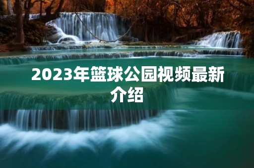 2023年篮球公园视频最新介绍