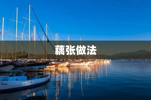 藕张做法：美味佳肴，滋补养生