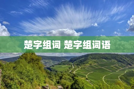 楚字组词 楚字组词语
