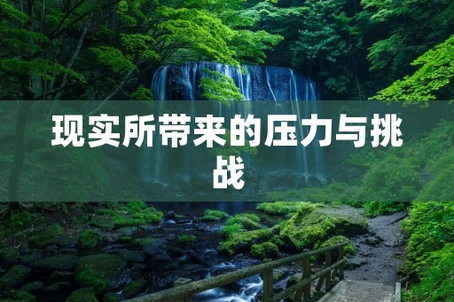 现实所带来的压力与挑战