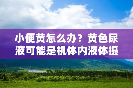 小便黄怎么办？黄色尿液可能是机体内液体摄入不足、排泄过多、药物副作用等因素引起的。但如果小便呈现深黄色或者浓稠的状态，那么可能就需要引起我们的注意了。本文将介绍小便黄的原因和应对措施，帮助您了解如何保持良好的泌尿系统健康。