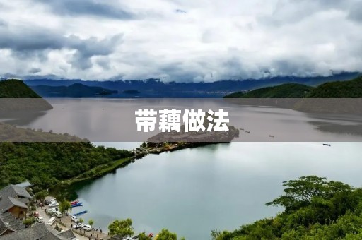 带藕做法：开胃美味，营养丰富