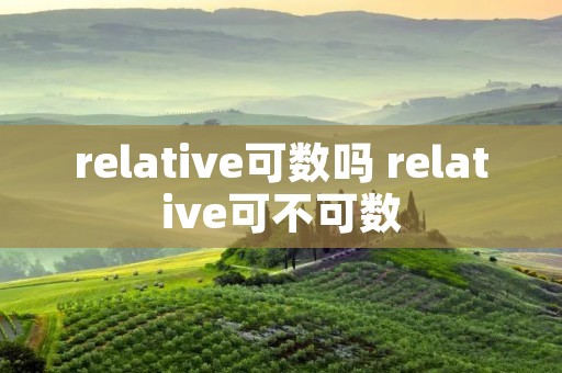 relative可数吗 relative可不可数