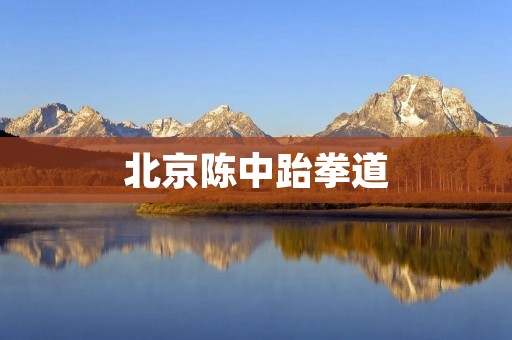 北京陈中跆拳道：让你的身体和心灵都得到锻炼