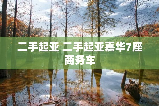 二手起亚 二手起亚嘉华7座商务车