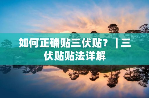 如何正确贴三伏贴? | 三伏贴贴法详解 如何正确贴三伏贴? | 三伏贴贴法详解