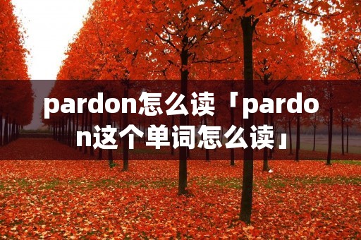pardon怎么读「pardon这个单词怎么读」